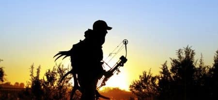 Choosing a bow