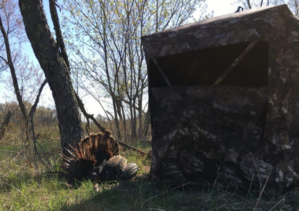 Practice and patient kills turkeys