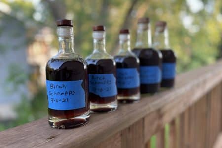 Bottled Birch Schnapps Recipe